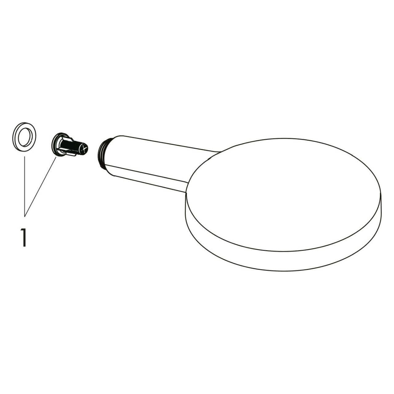 Hansgrohe Handbrause Raindance Select S 120 Chrom (26530000)