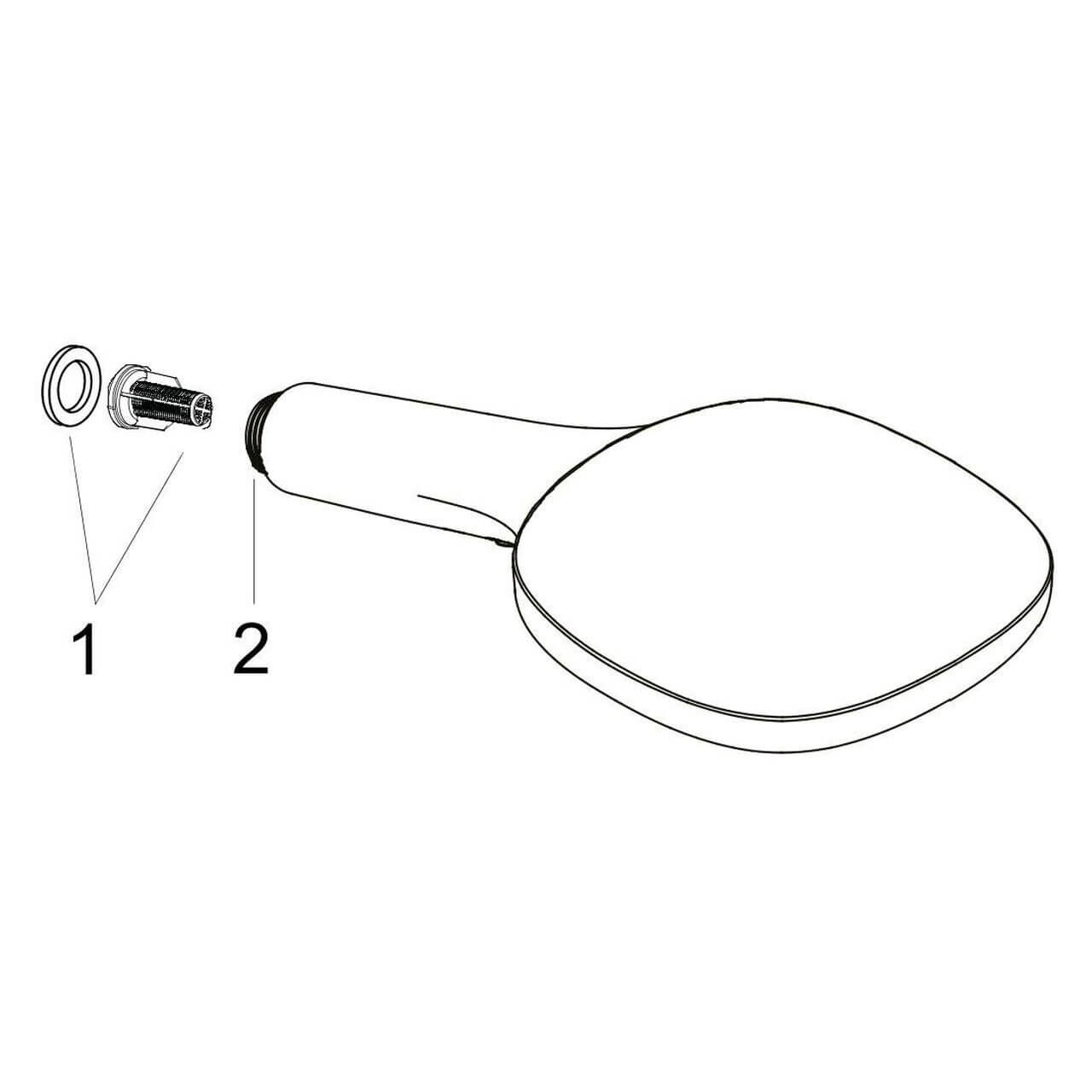 Hansgrohe Handbrause Raindance 120 Schwarz (26520670)